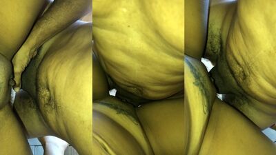 Pamela Santos transando no pelo no sexo quente com um gordinho amador