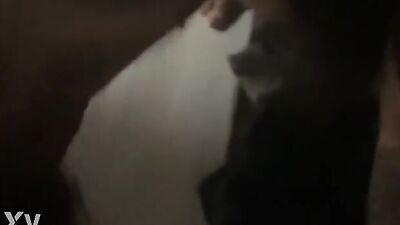 Mariana Casaroto chupando piroca até ganhar leitinho na garganta