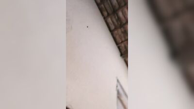 Puta amadora de buceta linda dando uma gozadinha gostosa