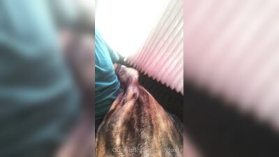 Hendy Foxxx fazendo um boquete molhado para seu macho no ônibus